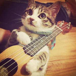 中国少妇果冻传媒
