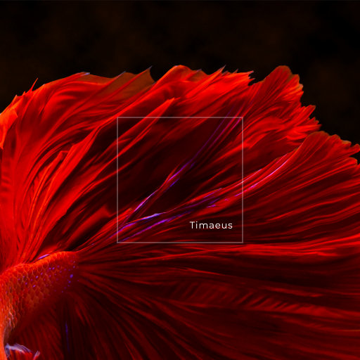 中国少妇果冻传媒
